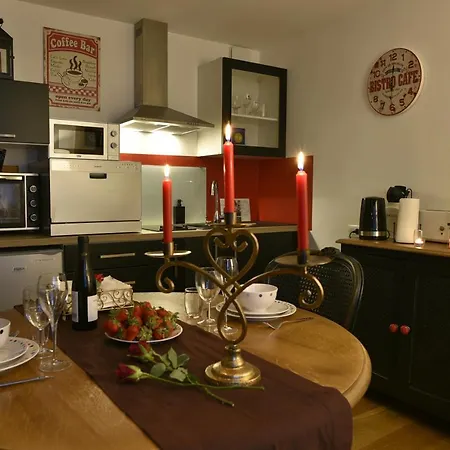 La Duchesse - Loveroom Moonlove Place Stanislas 公寓 *