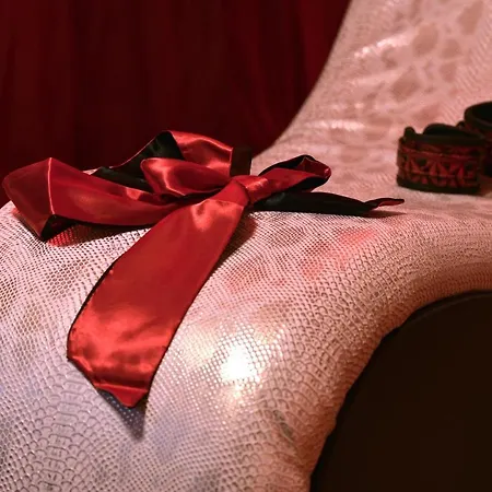 Appartement La Duchesse - Loveroom Moonlove Place Stanislas